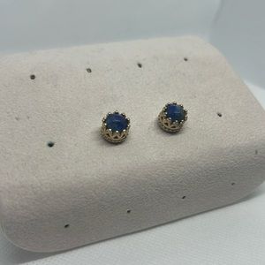 Blue Stone Studs with Gold detail